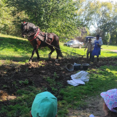 Strážnice - předškoláci
