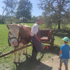 Strážnice - předškoláci