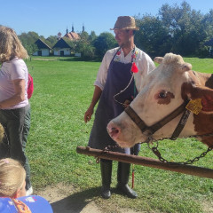 Strážnice - předškoláci