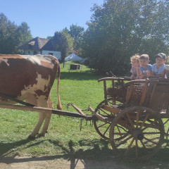 Strážnice - předškoláci