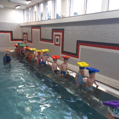 Plavání - předškoláci