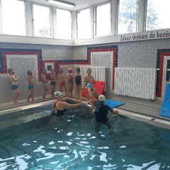 Plavání - předškoláci