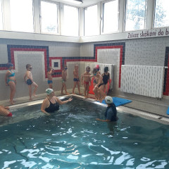 Plavání - předškoláci