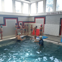 Plavání - předškoláci