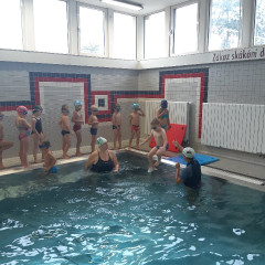 Plavání - předškoláci