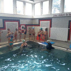 Plavání - předškoláci