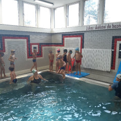 Plavání - předškoláci