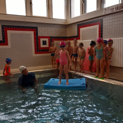 Plavání - předškoláci