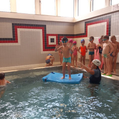 Plavání - předškoláci