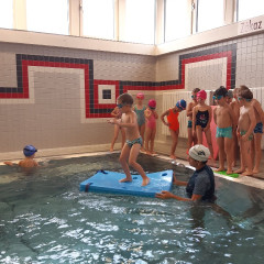 Plavání - předškoláci