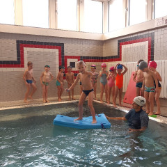 Plavání - předškoláci