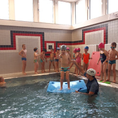 Plavání - předškoláci