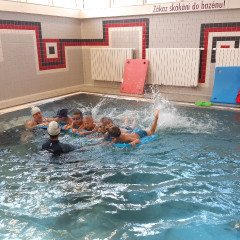 Plavání - předškoláci