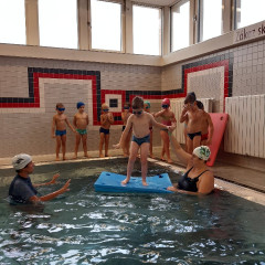 Plavání - předškoláci