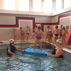 Plavání - předškoláci