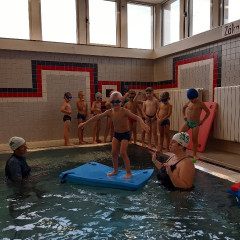 Plavání - předškoláci