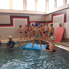 Plavání - předškoláci