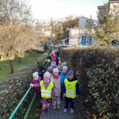 Vycházka do lesa - 2. tř.