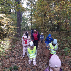 Vycházka do lesa - 2. tř.