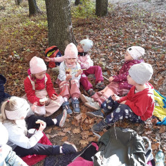 Vycházka do lesa - 2. tř.
