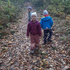 Vycházka do lesa - 2. tř.