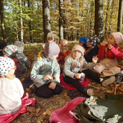 Vycházka do lesa - 2. tř.