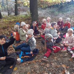 Vycházka do lesa - 2. tř.