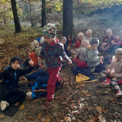 Vycházka do lesa - 2. tř.