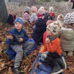 Vycházka do lesa - 2. tř.