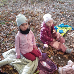 Vycházka do lesa - 2. tř.