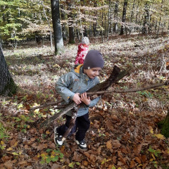 Vycházka do lesa - 2. tř.