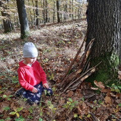 Vycházka do lesa - 2. tř.