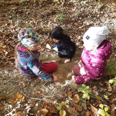 Vycházka do lesa - 2. tř.