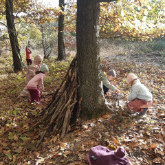 Vycházka do lesa - 2. tř.