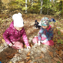 Vycházka do lesa - 2. tř.