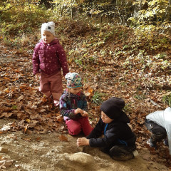 Vycházka do lesa - 2. tř.