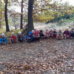 Vycházka do lesa - 2. tř.