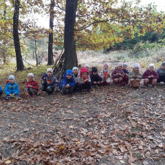 Vycházka do lesa - 2. tř.