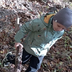 Vycházka do lesa - 2. tř.