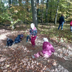 Vycházka do lesa - 2. tř.