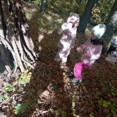 Vycházka do lesa - 2. tř.