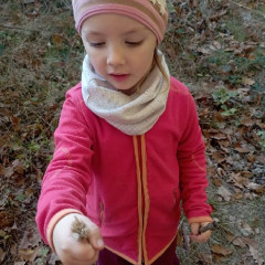 Vycházka do lesa - 2. tř.