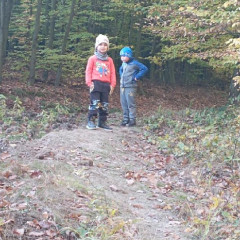 Vycházka do lesa - 2. tř.