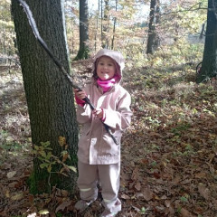 Vycházka do lesa - 2. tř.