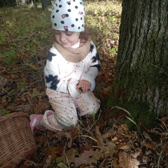 Vycházka do lesa - 2. tř.