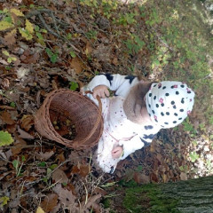 Vycházka do lesa - 2. tř.