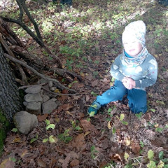 Vycházka do lesa - 2. tř.