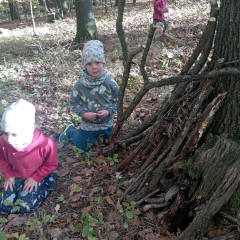 Vycházka do lesa - 2. tř.