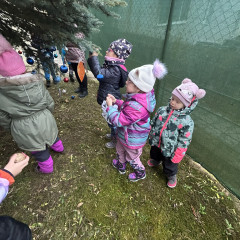 1.+2. třída Zdobení stromu před MŠ