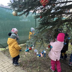 1.+2. třída Zdobení stromu před MŠ